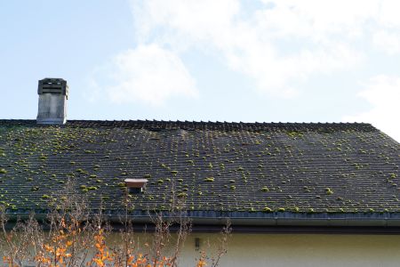 Preventing rooftop algae